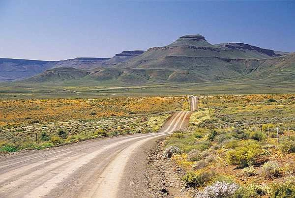 South Africa self drive safari Calvinia Road