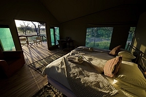 Ongava Tented Camp - View from guest bedroom